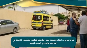تنويه عاجل.. إنقاذ رضيعة بعد ابتلاعها قطعة حشيش بالخطأ في الفرافرة بالوادي الجديد اليوم